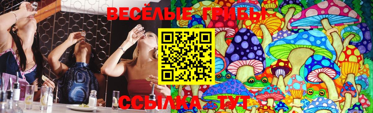 Ржев  Псилоцибиновые грибы ЛСД  Вход с VPN 